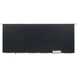 Black Lion Audio PBR TT LIT