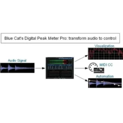 Blue Cat Audio Blue Cat's DP Meter Pro