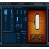 Blue Cat Audio Blue Cat's Re-Guitar