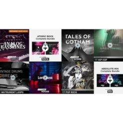 Boris FX Music Studio - One Year Access