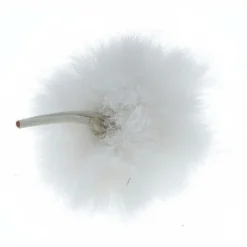 Bubblebee Windbubbles United 1
