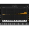 Dexibell T2L Electric Piano