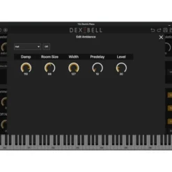 Dexibell T2L Electric Piano
