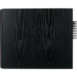 Dynaudio BM15A left