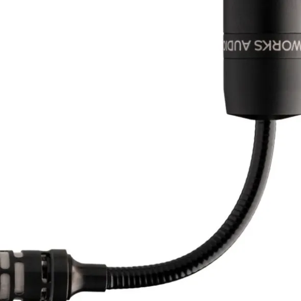 Earthworks Audio C30 S-B Gen 2