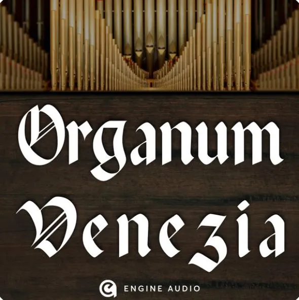 Engine Audio Organum Venezia