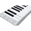 ESI Xkey 25