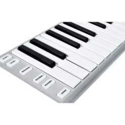 ESI Xkey 25