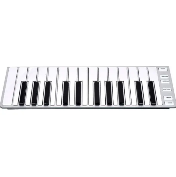 ESI Xkey 25