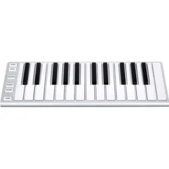 ESI Xkey 25