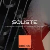 Expressive E Soliste DBS 1130 Double Bass
