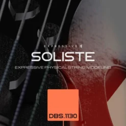 Expressive E Soliste DBS 1130 Double Bass