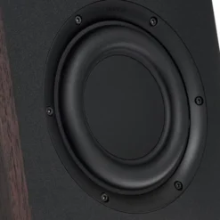 Focal Shape 65