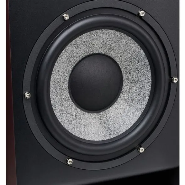 Focal Trio11 Be Red Burr Ash