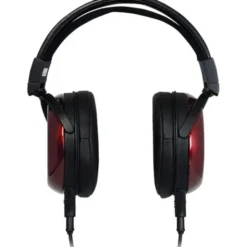 Fostex TH919