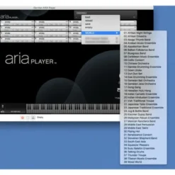 Garritan World Instruments