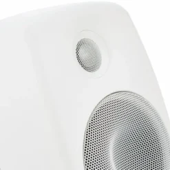 Genelec 8020 DWM