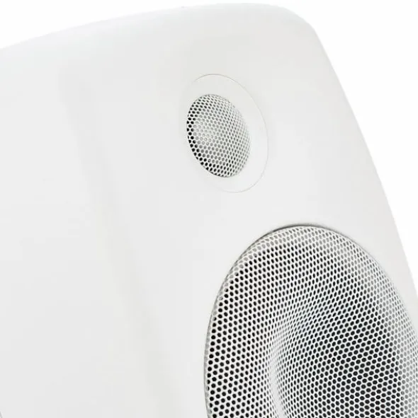 Genelec 8020 DWM