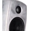 Genelec 8010 RAW