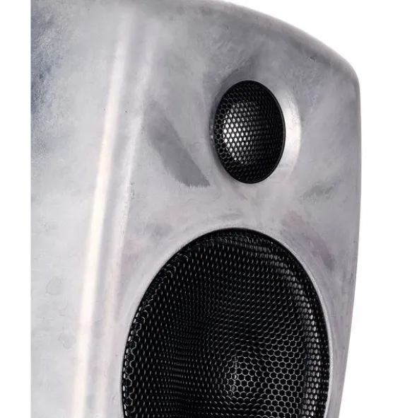 Genelec 8010 RAW