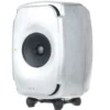 Genelec 8331 RAW