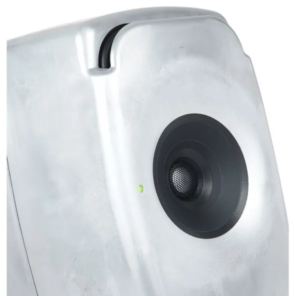 Genelec 8331 RAW