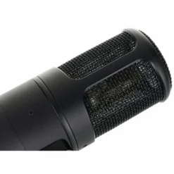 Golden Age Audio Premier GA-8000