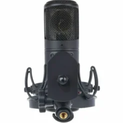 Golden Age Audio Premier GA-8000