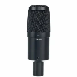 Heil Sound PR30 Black Matte