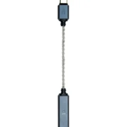 ifi Audio GO link 2