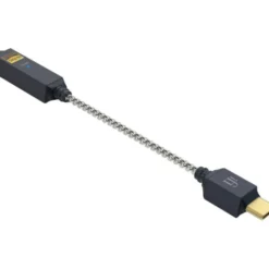 ifi Audio GO link 2