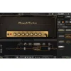 IK Multimedia AmpliTube Electric Gypsy