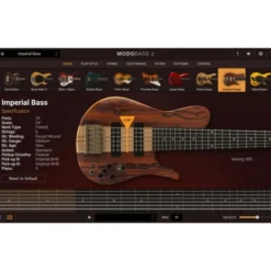 IK Multimedia Modo Bass 2