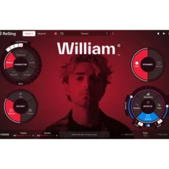 IK Multimedia ReSing MAX