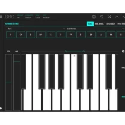 Imaginando DRC - Polyphonic Synthesizer