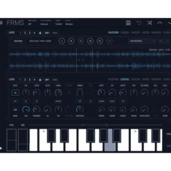 Imaginando FRMS - Granular Synthesizer