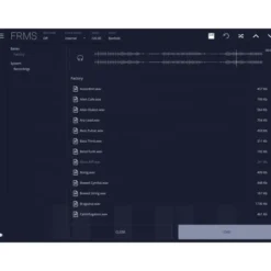 Imaginando FRMS - Granular Synthesizer