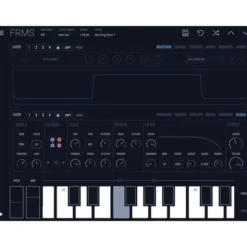 Imaginando FRMS - Granular Synthesizer