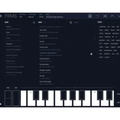 Imaginando FRMS - Granular Synthesizer