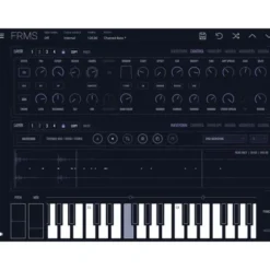 Imaginando FRMS - Granular Synthesizer