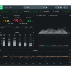 iZotope Insight 2