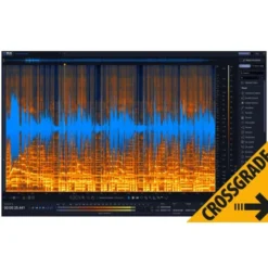 iZotope RX 12 Std CG any paid