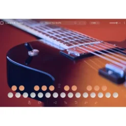 LANDR Guitar