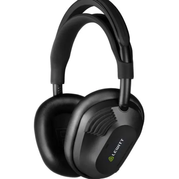 Lewitt LW6