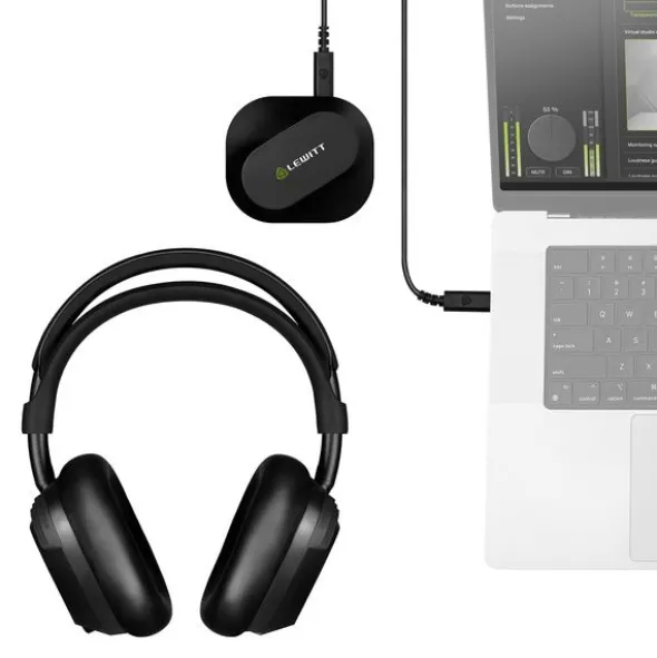 Lewitt LW6