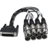 Marian Clara A/D XLR