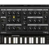 Moog Mariana