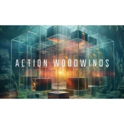 Native Instruments Action Woodwinds