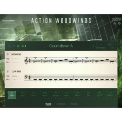 Native Instruments Action Woodwinds