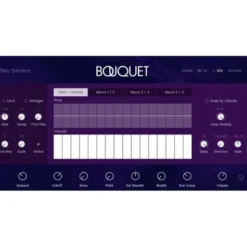 Native Instruments Bouquet